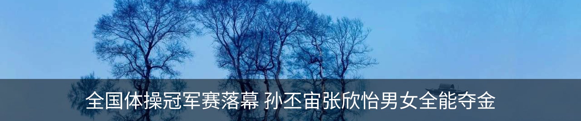 内页banner